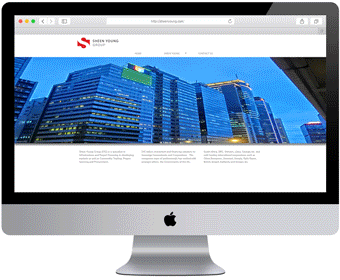 Sheen Young Website