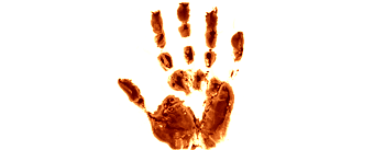 Origins of Identity
